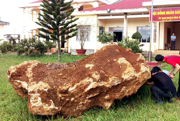 Bảo Lâm: Sẽ bán đấu giá tảng đá "quý" nặng 20 tấn