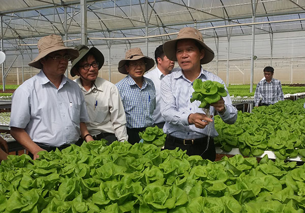 Bí thư Tỉnh ủy thăm Trang trại rau công nghệ cao Phong Thúy (Phú Hội, Đức Trọng)