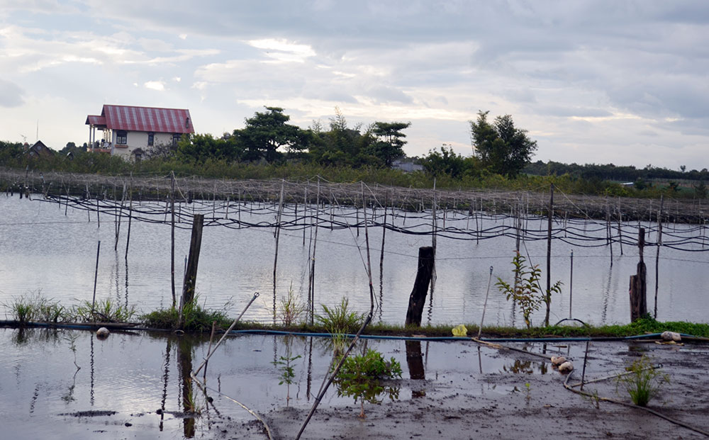 Gần 100ha đất cùng hàng chục căn nhà bị nước từ hồ Nam Sơn dâng ngập