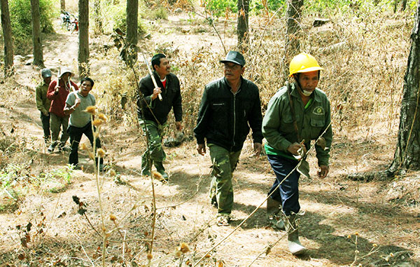 Hiệu quả quản lý bảo vệ rừng của BQL rừng phòng hộ Ðại Ninh