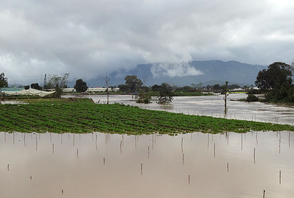 Nông dân Ðơn Dương lại bị thiệt hại khi hồ Ða Nhim xả lũ