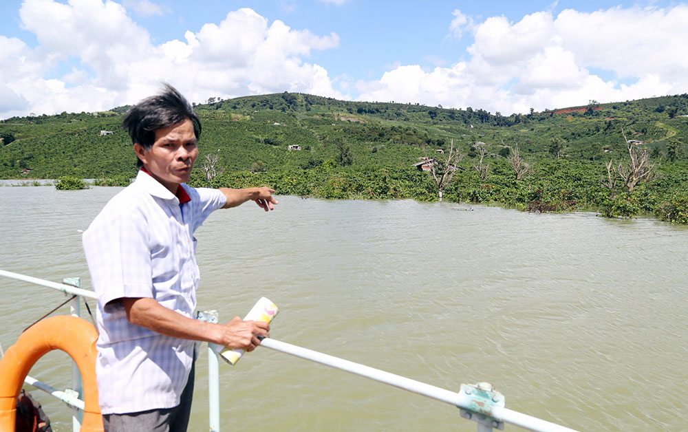 Ngày 8/11, hồ thủy điện Đồng Nai 2 tích nước khiến hơn 20 ha cà phê xã Liên Hà, huyện Lâm Hà bị ngập úng, không thể thu hoạch
