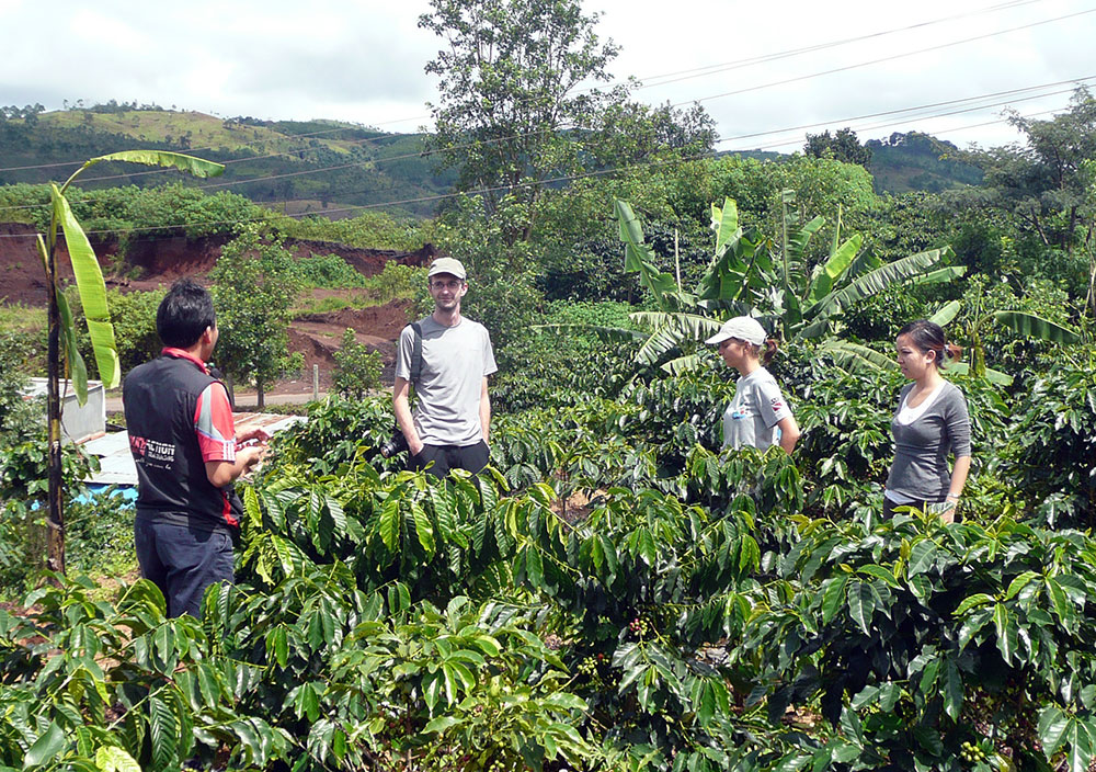 Du khách Tây thăm một vườn cà phê tại xã Xuân Trường - Đà Lạt