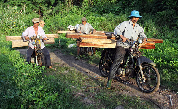 Rừng địa bàn Di Linh, giáp ranh tỉnh Bình Thuận luôn luôn là điểm nóng về khai thác trái phép. Ảnh: M. Đạo