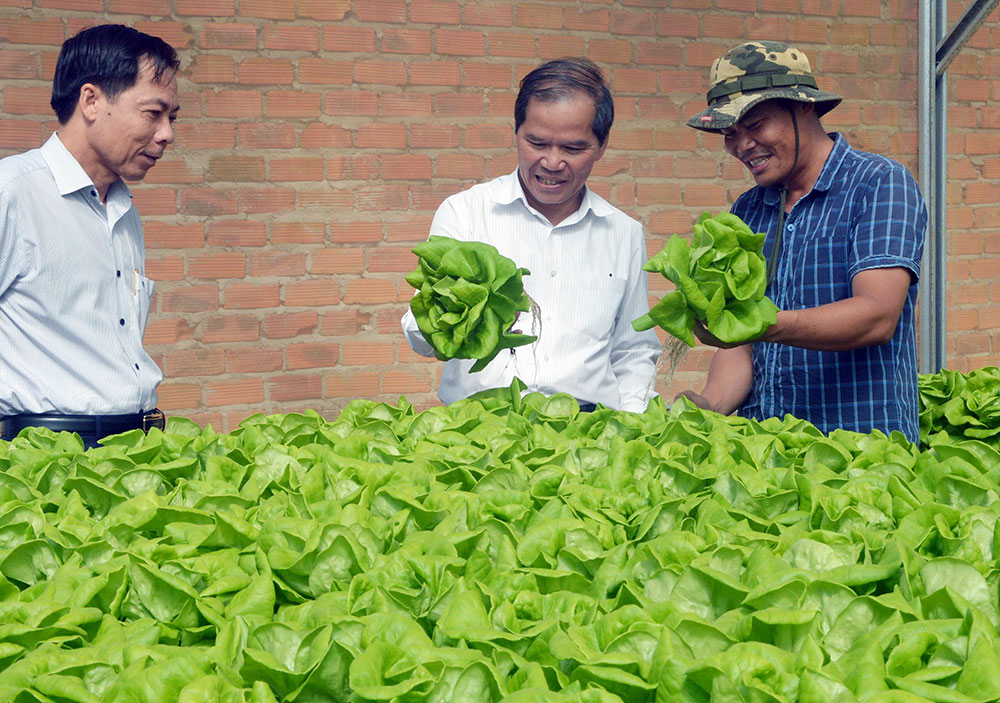 Bí thư Tỉnh ủy Nguyễn Xuân Tiến thăm mô hình sản xuất rau, quả theo hướng nông nghiệp công nghệ cao, tăng cường liên kết với nông dân ở doanh nghiệp Cao Nguyên, huyện Đơn Dương.  Ảnh: Đ.Thanh