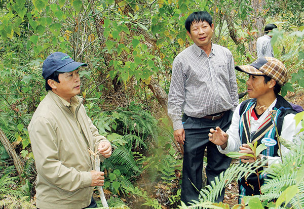 Chủ tịch UBND tỉnh kiểm tra công tác phòng chống cháy rừng tại Lạc Dương. Ảnh: Minh Đạo