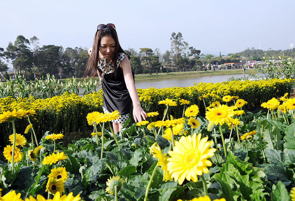 Một cô gái giữa màu hoa rực rỡ bên hồ Xuân Hương Đà Lạt. Ảnh: N.H.Tình