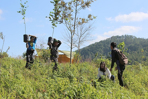 Ngày đầu ra quân trồng mới 2016 cây anh đào tại KDL Hồ Tuyền Lâm