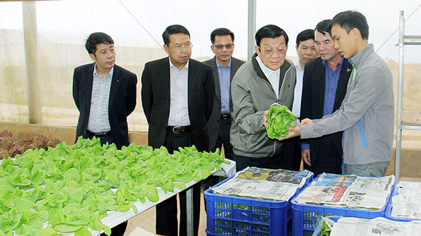 Đồng chí Trương Tấn Sang (thứ 4 từ trái qua) đặc biệt quan tâm tính bền vững đầu ra của sản phẩm nông nghiệp