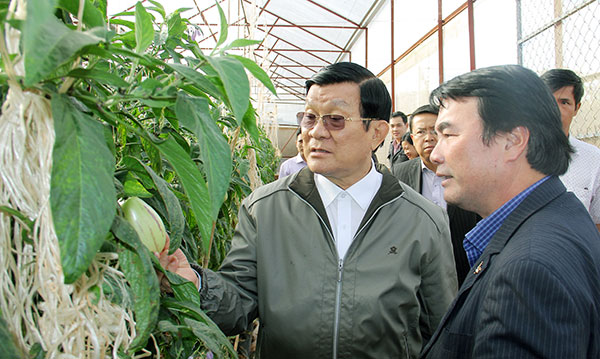 Nguyên Chủ tịch nước Trương Tấn Sang tham quan vườn thực nghiệp Dưa Pepino