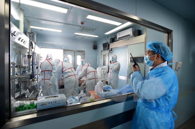 Nguy cơ lây lan cúm gia cầm H7N9 giữa người và người là thấp