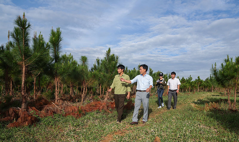 Quản lý, bảo vệ rừng - nhìn từ Bảo Lâm