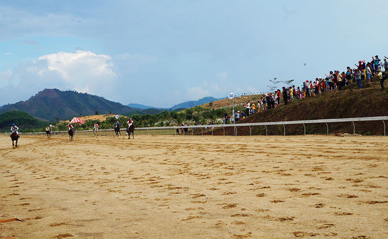 Khán giả lần đầu tiên xem đua ngựa tại Lâm Đồng