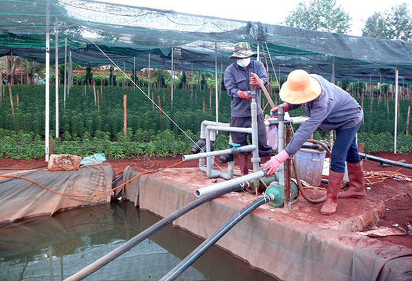Người làm đang vận hành máy tưới tại trang trại hoa Lily của ông Nguyễn Hữu Trí ở Xuân Thọ, Đà Lạt. Ảnh: V.T