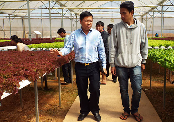 Doanh nghiệp trẻ Lâm Đồng đón nhiều doanh nhân từ các tỉnh, thành trong nước đến học tập, chia sẻ kinh nghiệm. (Ảnh chụp tại trang trại rau thủy canh Công ty Cầu Đất Farm). Ảnh: T.An
