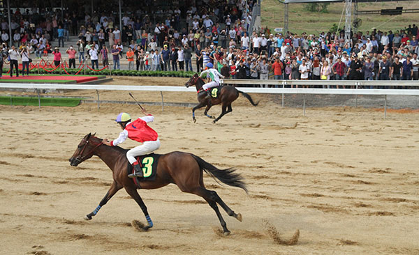 Khán giả Lâm Đồng lần đầu tiên được chứng kiến môn đua ngựa