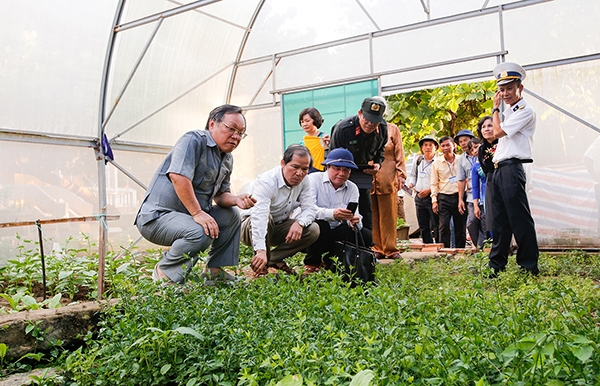 Bí thư Tỉnh uỷ Lâm Đồng và Phó Chủ tịch UBND tỉnh Phạm S thăm quan vườn rau xanh của chiến sỹ.