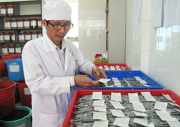 Thầy thuốc ưu tú - BSCKII Nguyễn Văn Trịnh kiểm tra dược liệu bệnh viện. Ảnh: D.Hiền