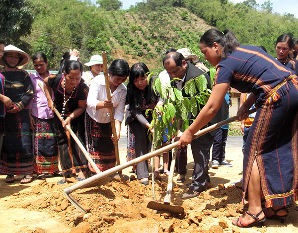 Lãnh đạo huyện Đam Rông và chị em phụ nữ thôn Phi Jút, xã Đạ Rsal cùng trồng cây xanh dọc Quốc lộ 27, đoạn qua Phi Jút. Ảnh: A.Nhiên