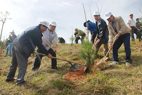 Đà Lạt: 1000 cây xanh được trồng trong Lễ phát động trồng rừng, trồng cây phân tán