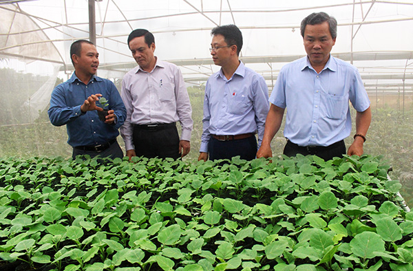 Thăm mô hình sản xuất nông nghiệp thân thiện với môi trường ở công ty TNHH Nông nghiệp Miền đất hy vọng Việt Nam