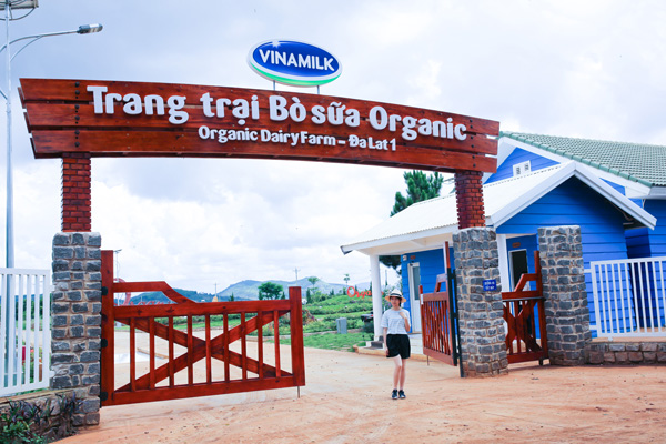 Trang trại bò sữa Organic tiêu chuẩn châu Âu đầu tiên tại Việt Nam đón khách
