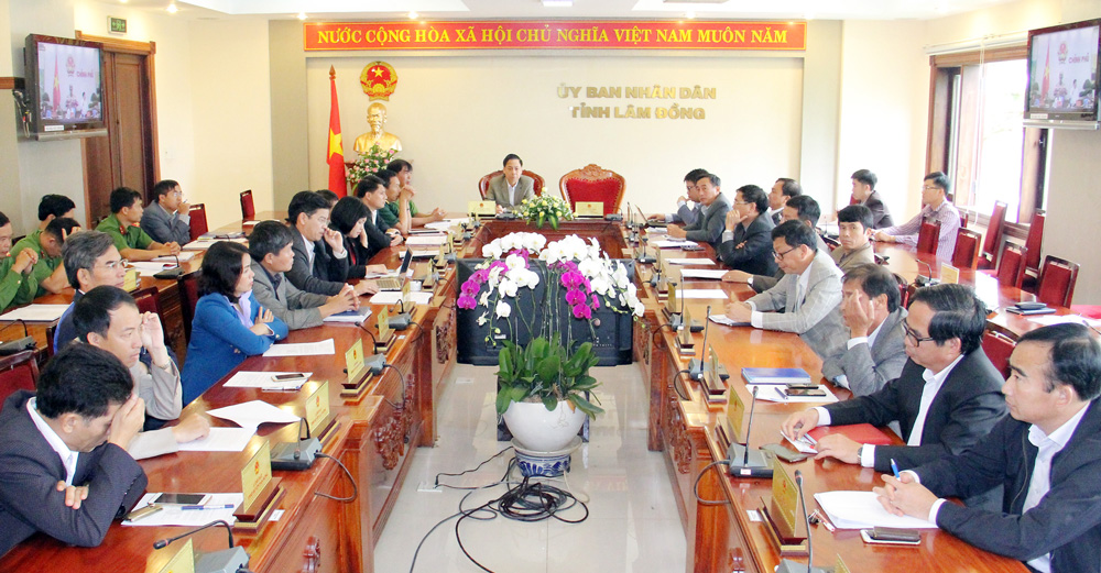 Hội nghị trực tuyến đầu cầu tỉnh Lâm Đồng