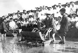 Bác Hồ dùng thử máy cấy tại trại thí nghiệm lúa thuộc Sở Nông lâm Hà Nội, năm 1960. Ảnh: Tư liệu