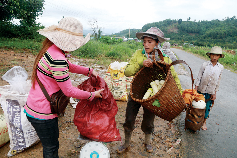 Người đồng bào DTTS huyện Đam Rông tranh thủ mùa mưa đi hái măng rừng vào những ngày đầu tháng 8. Ảnh: Chính Thành