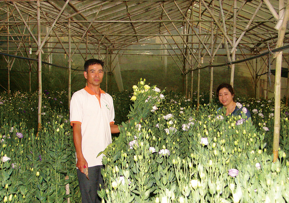 Cà phê và rau, hoa là cây trồng chủ lực của Đà Lạt nên việc phòng chống dịch bệnh là khâu quan trọng.  Ảnh: N.Thu