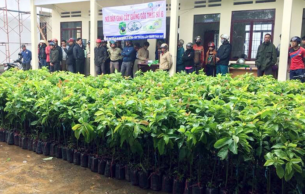 Tổ chức bàn giao cây giống tại huyện Di Linh. Ảnh: Minh Ðạo