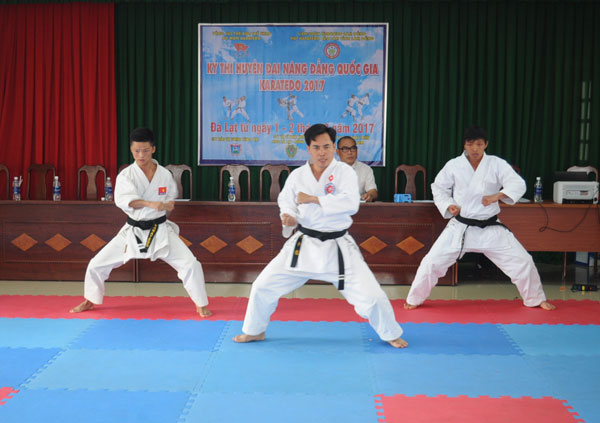 96 võ sinh thi huyền đai nâng đẳng Karatedo quốc gia 2017