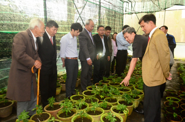 Đại biểu tham dự hội thảo tham quan vườn thực nghiệm sâm Ngọc Linh đã nở hoa của Ban quản lý Khu NNƯDCNC Lâm Đồng