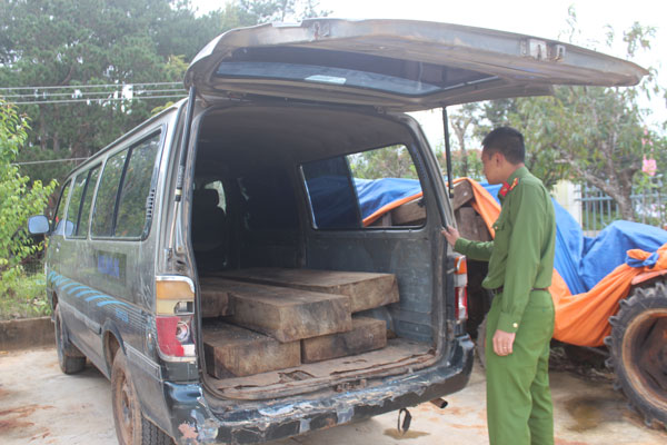 Dùng xe biển số ngoại tỉnh để chuyển gỗ không rõ nguồn gốc