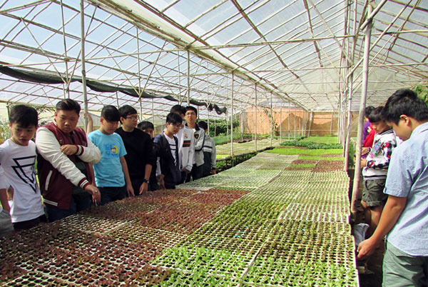 Đoàn học sinh từ TP Hồ Chí Minh lên tham quan vườn sản xuất giống rau hợp tác ở HTX Xuân Hương. Ảnh tư liệu