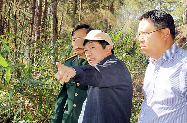 Chủ tịch UBND tỉnh kiểm tra công tác quản lý bảo vệ rừng