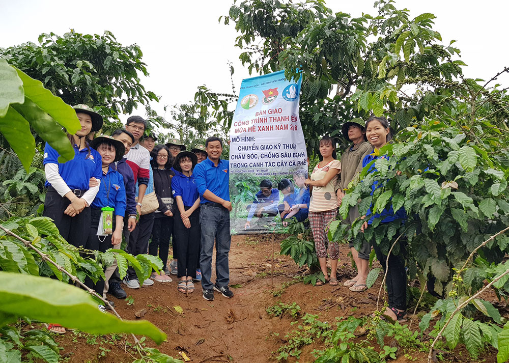 Đội sinh viên Mùa hè xanh chuyển giao kỹ thuật chăm sóc cây cà phê cho bà con nông dân. Ảnh: V.Quỳnh