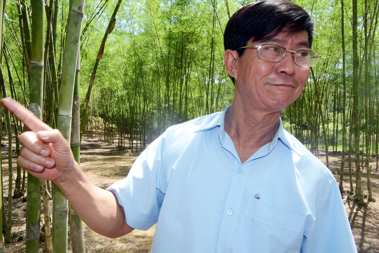Bí thư Đảng ủy xã Hương Lâm - Lê Phi Hùng và vườn tre tầm vông của gia đình