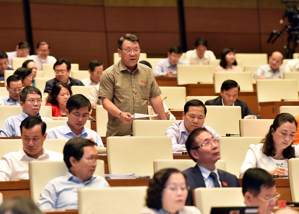 Hoạt động của Đoàn ĐBQH Lâm Đồng tại kỳ họp thứ sáu, Quốc hội khóa XIV