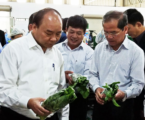 Thủ tướng Nguyễn Xuân Phúc cùng lãnh đạo tỉnh thăm mô hình nông nghiệp công nghệ cao tại Lâm Đồng. Ảnh: Văn Báu