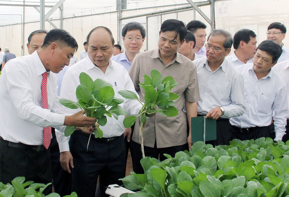 Thủ tướng Nguyễn Xuân Phúc và lãnh đạo tỉnh thăm trang trại rau của Lâm Đồng - địa phương dẫn đầu cả nước về phát triển nông nghiệp ứng dụng công nghệ cao