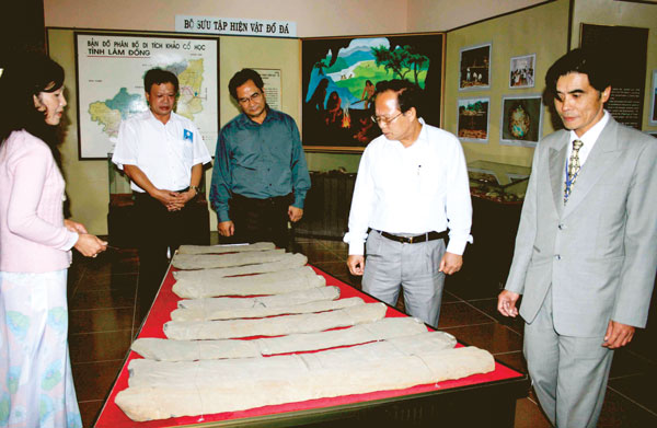 Nguyên Bộ trưởng Bộ VH-TT-DL Hoàng Tuấn Anh thăm bộ đàn đá trưng bày tại Bảo tàng Lâm Đồng. Ảnh: Đoàn Bích Ngọ