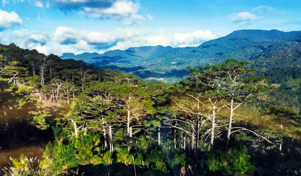Hệ đa dạng sinh học ở Vườn Quốc gia Bidoup - Núi Bà ngày càng thu hút mạnh đối với du khách và giới khoa học