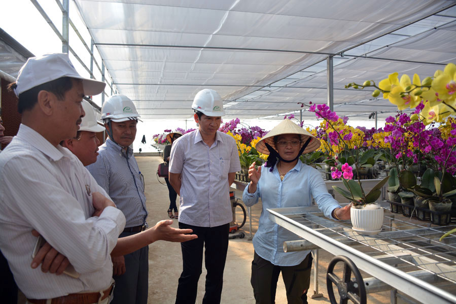 Trồng hoa có nguồn giống từ Đà Lạt tại Công ty TNHH Phát triển Dự án Việt Nam