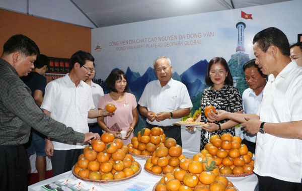 Lãnh đạo tỉnh Hà Giang trực tiếp giới thiệu đặc sản cam Hà Giang đến quan khách tỉnh Khánh Hòa