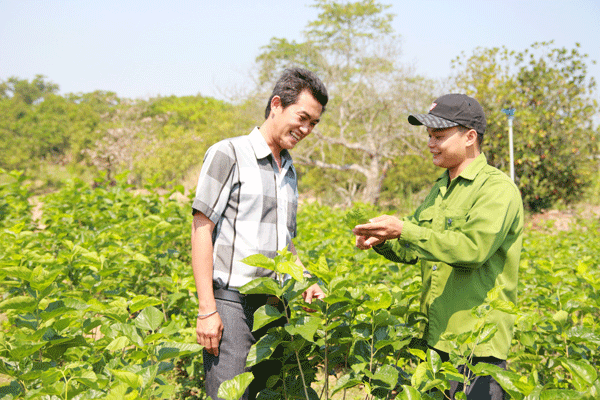 Cuộc thi sẽ là cơ hội để thanh niên Lâm Đồng phát huy lợi thế của mình, đặc biệt là trong lĩnh vực nông nghiệp công nghệ cao.