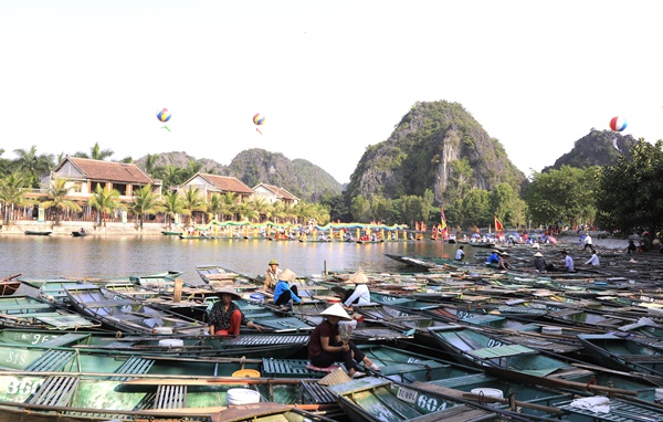 Hàng ngàn chiếc thuyền chờ đưa khách thăm quan dòng Sông Ngô Đồng
