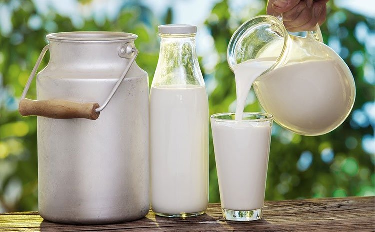 Thông thường sữa tươi kéo dài không quá ba tuần trong tủ lạnh