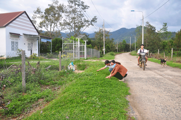 Chị em phụ nữ chăm sóc hoa cỏ lạc đường Phan Đình Phùng, thị trấn Đạ M’ri. Ảnh: V.T 