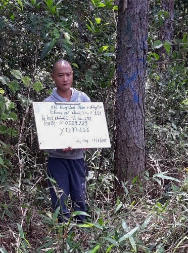 Đối tượng Nguyễn Văn Huy diễn lại hành vi phá rừng thông tại Tiểu khu 292